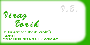 virag borik business card